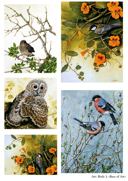 Декупажные карты птицы и цветы А3 Base of Art новые тонкие